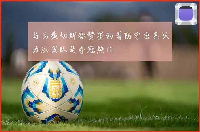 乌戈桑切斯称赞墨西哥防守出色认为法国队是夺冠热门