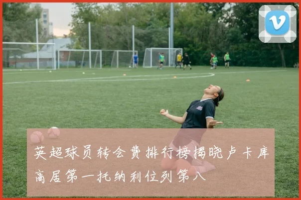 英超球员转会费排行榜揭晓卢卡库高居第一托纳利位列第八